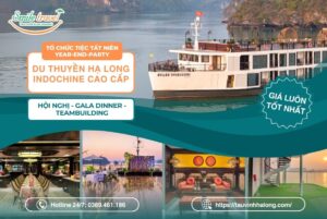 Du thuyền tiệc công ty giá?